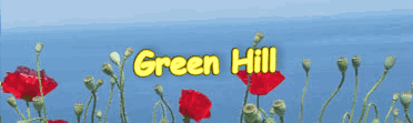 Green-Hill Apartments