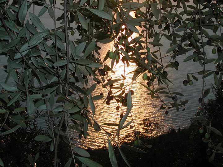 Sonnenuntergang am Meer